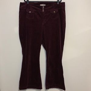NWT Pilcro & the Letterpress Anthropologie bootcut Cordaroy pants